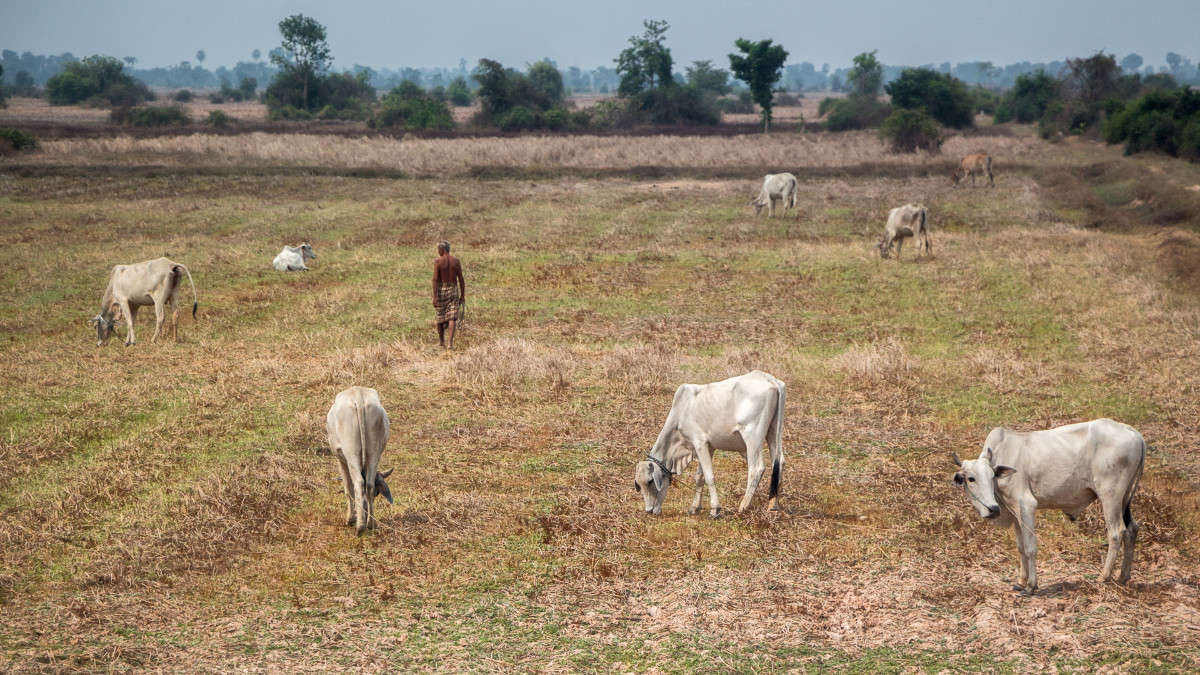 �������� ������ ���� ����� ������� ������� �� PhotoGeek.ru #������ ��� �������