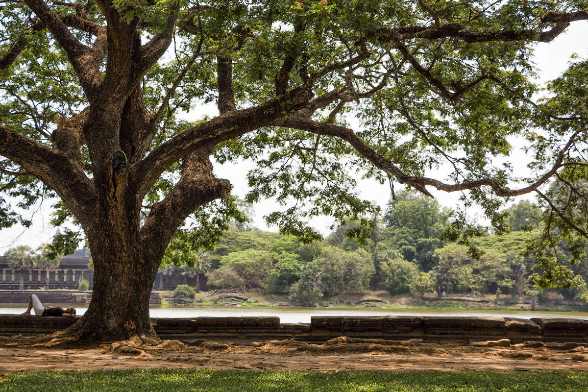 ... ����� ������� ������� �� PhotoGeek.ru #������ ��� �������