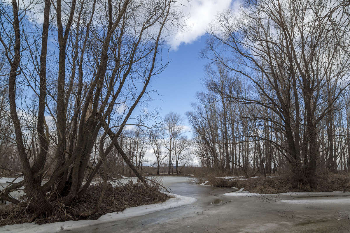 ������ ����� ������� ������� �� PhotoGeek.ru #������ ��� �������