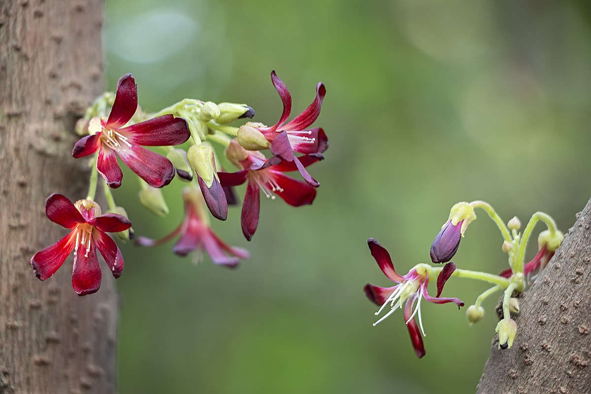 ... ����� ������� ������� �� PhotoGeek.ru #����� ��������������