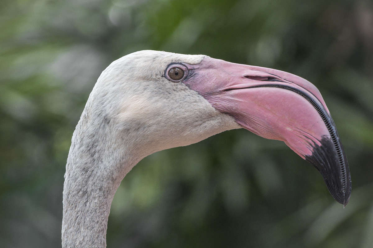 ������� - ��� ���� ����� ������� ������� �� PhotoGeek.ru #�������� ���