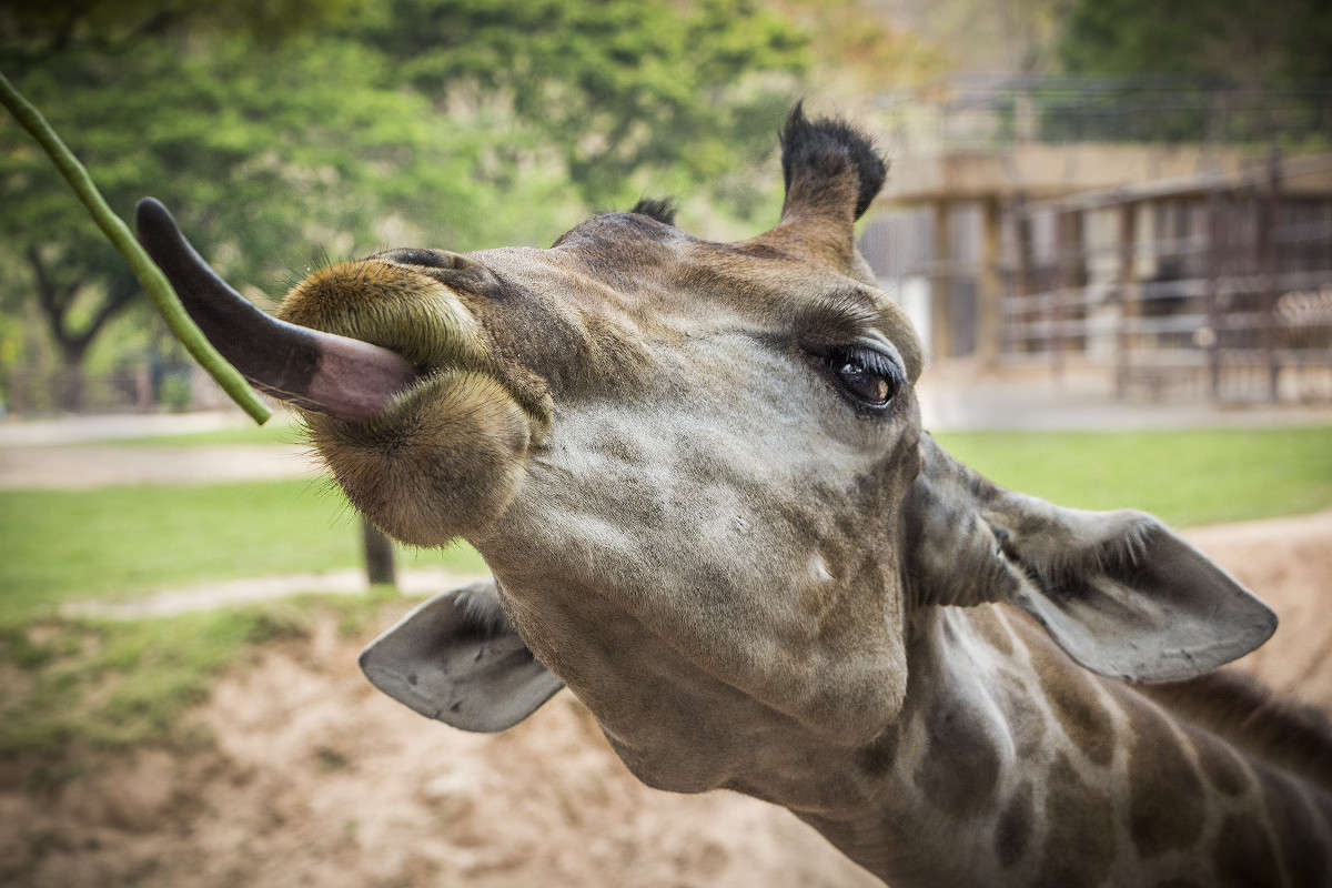 ������� ���� - ������ ������� ����� ������� ������� �� PhotoGeek.ru #�������� ���