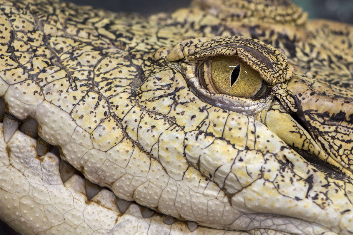 � ����� �� ���� ����� ������� ������� �� PhotoGeek.ru #�������� ���