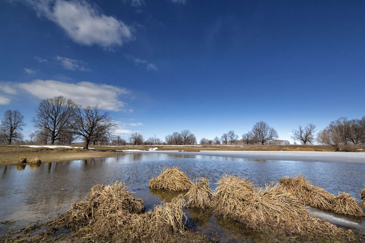 �������� ������ ����� ������� ������� �� PhotoGeek.ru #������ ��� �������
