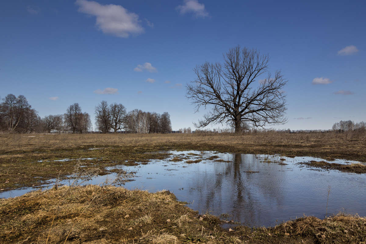 ������� ����� ����� ������� ������� �� PhotoGeek.ru #������ ��� �������