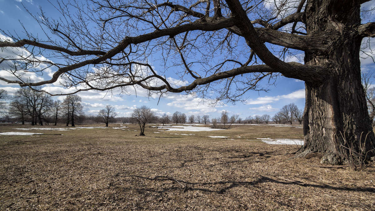 ... ����� ������� ������� �� PhotoGeek.ru #������ ��� �������