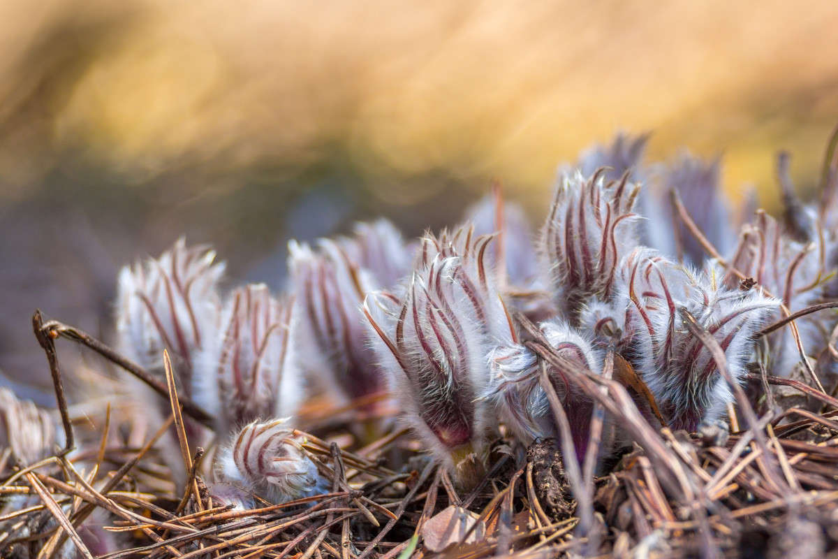 ����������� ����� ������� ������� �� PhotoGeek.ru #����� #����� ��������������