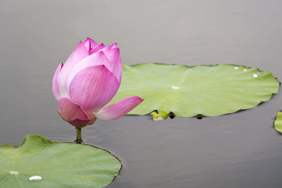 ������� ����� ����� ������� ������� �� PhotoGeek.ru #����� �������������� #�����