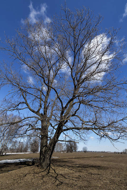 ���� ������� ������ ����� ������� ������� �� PhotoGeek.ru #������ ��� �������