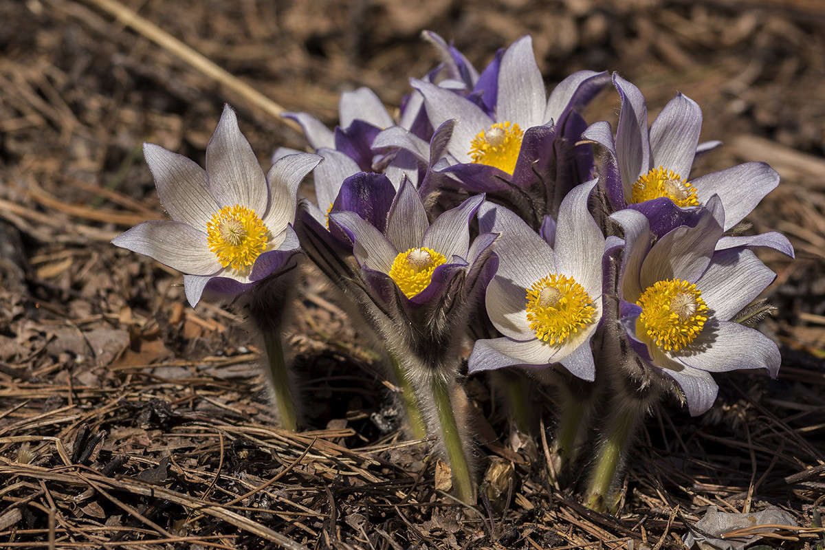 ... ����� ������� ������� �� PhotoGeek.ru #����� �������������� #�����