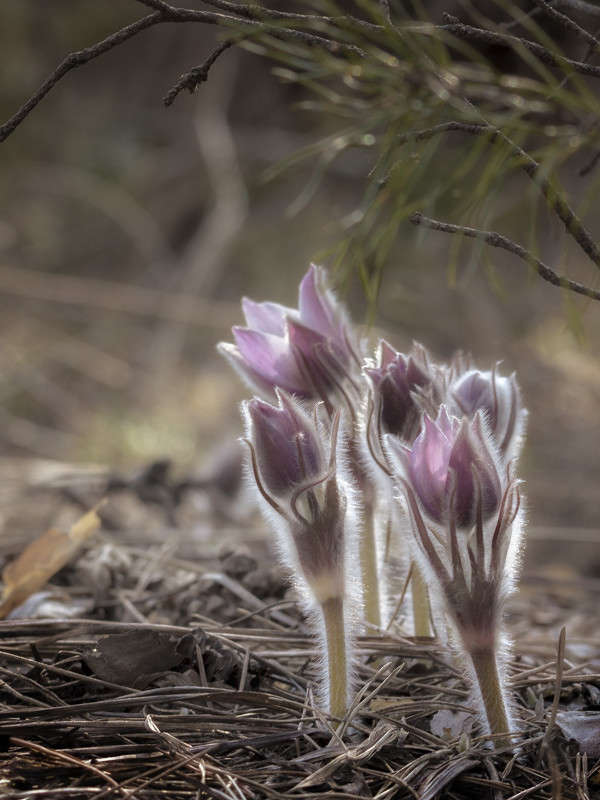 � ����� � ����� ����� ������� ������� �� PhotoGeek.ru #����� #����� ��������������