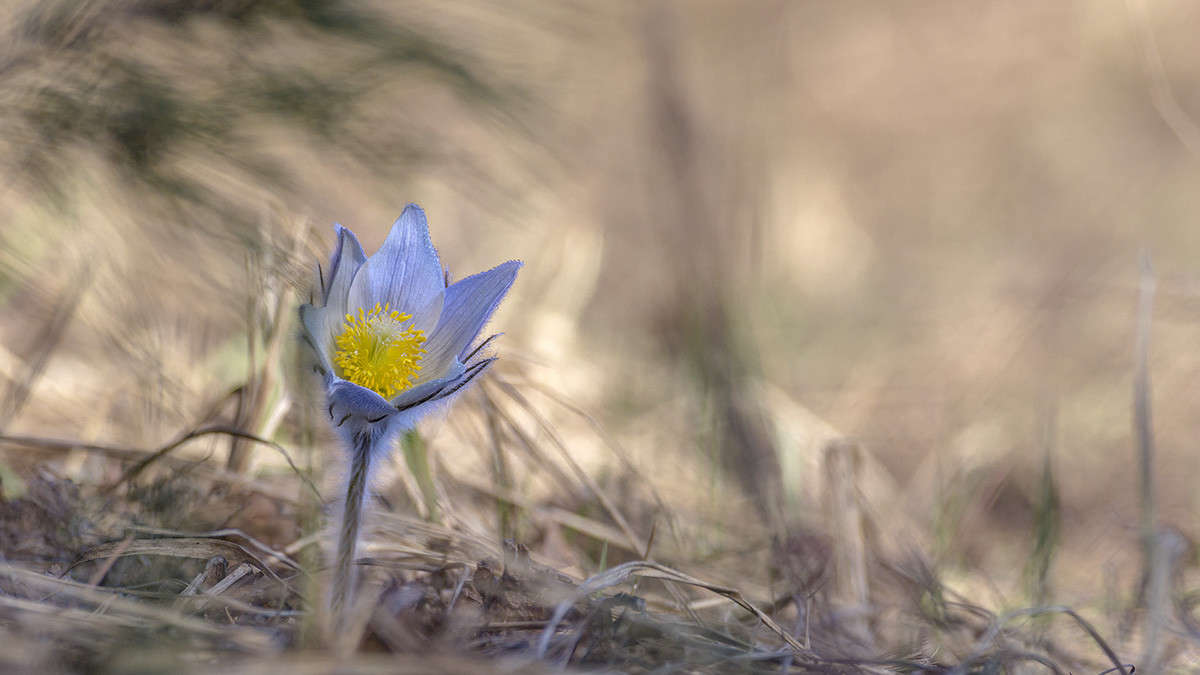 ... ����� ������� ������� �� PhotoGeek.ru #����� #����� ��������������