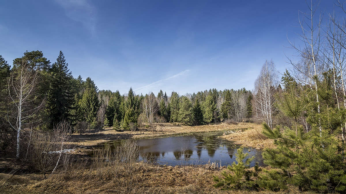 ������ ������ ����� ������� ������� �� PhotoGeek.ru #������ ��� ������� #����� ��������������