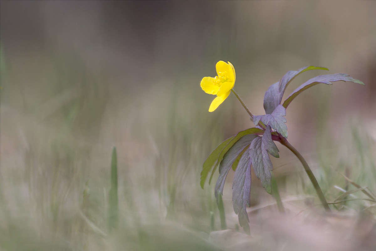 ���������� ����� ������� ������� �� PhotoGeek.ru #����� #����� �������������� #�����