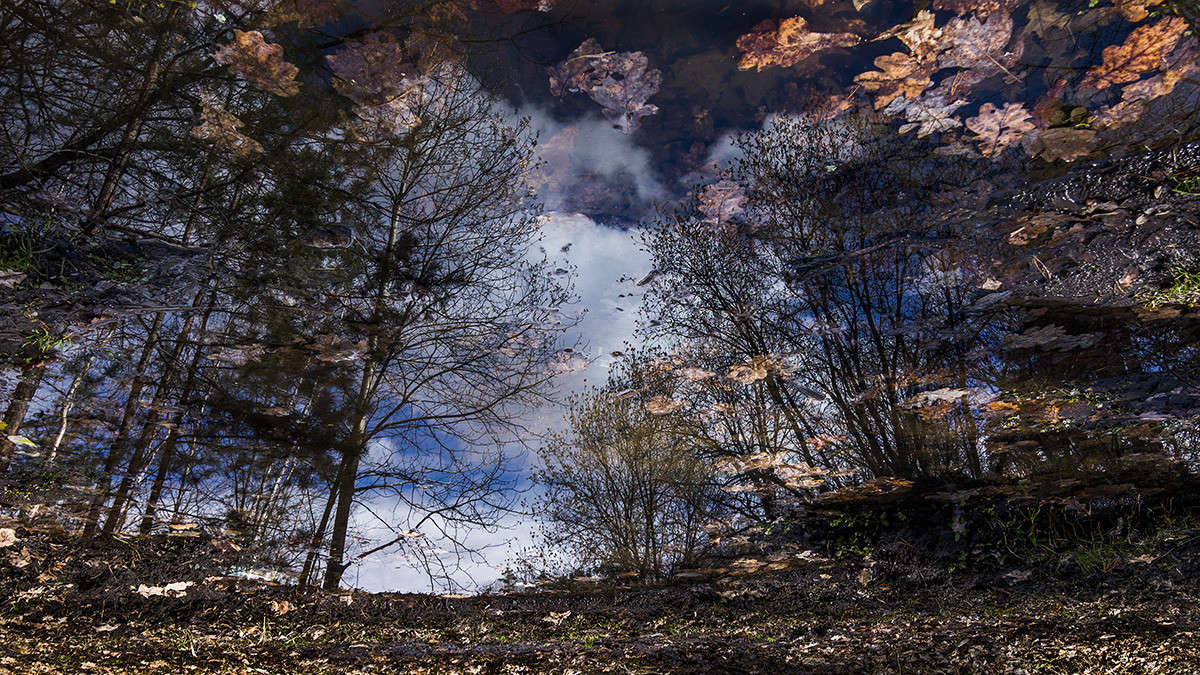 ������ � ������������� �������� ����� ������� ������� �� PhotoGeek.ru #������ ��� �������