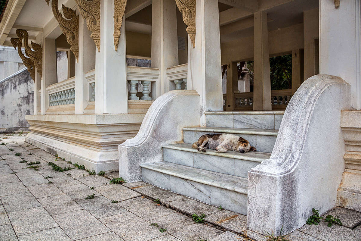 ����������� ���������� ����� ����� ������� ������� �� PhotoGeek.ru #�����������