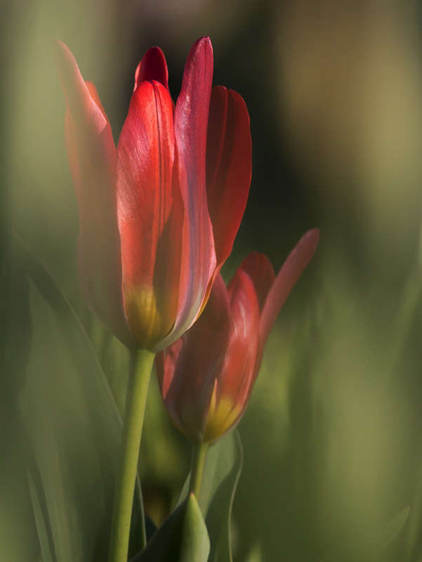 ... ����� ������� ������� �� PhotoGeek.ru #����� ��������������