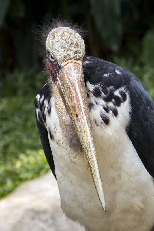 ������� ����� ������� ������� �� PhotoGeek.ru #�������� ���