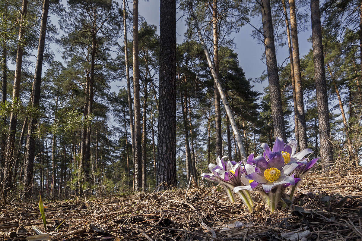 ��������� ������� ����� ������� ������� �� PhotoGeek.ru #������ ��� ������� #����� ��������������