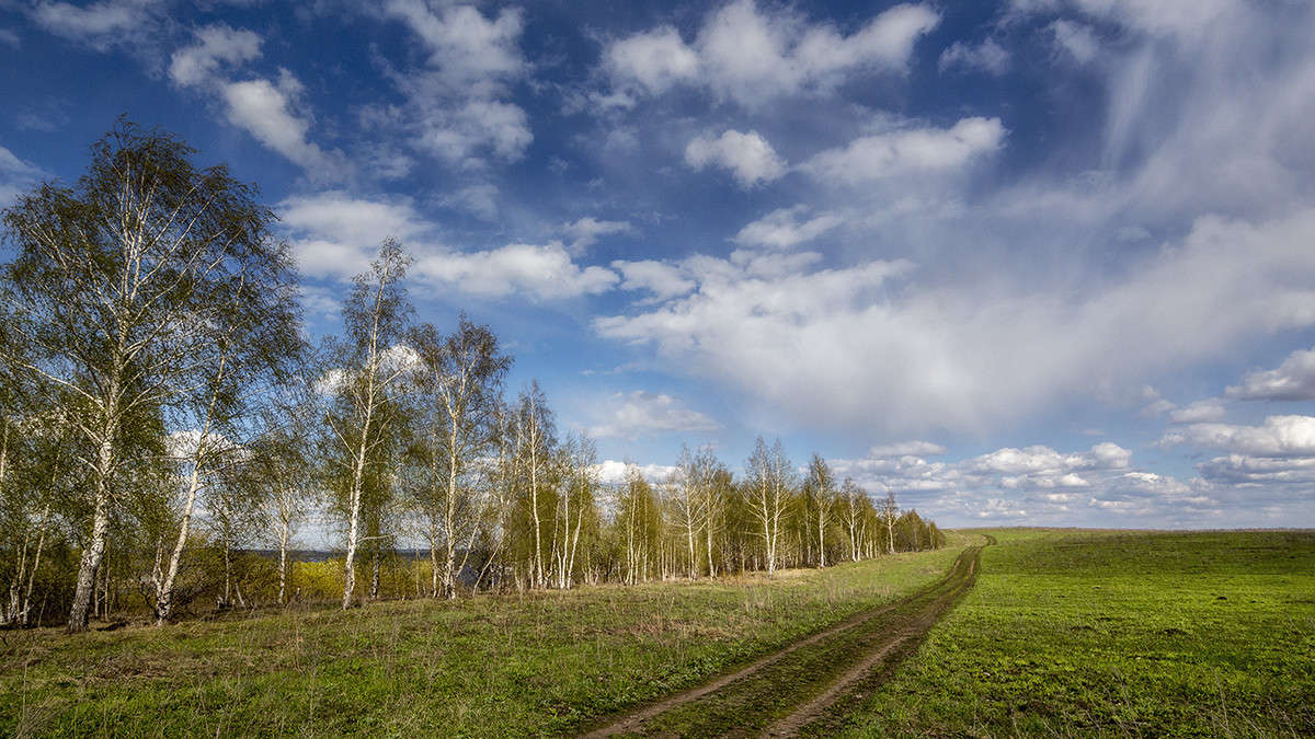 �� ���� ���� ����� ������� ������� �� PhotoGeek.ru #������ ��� �������