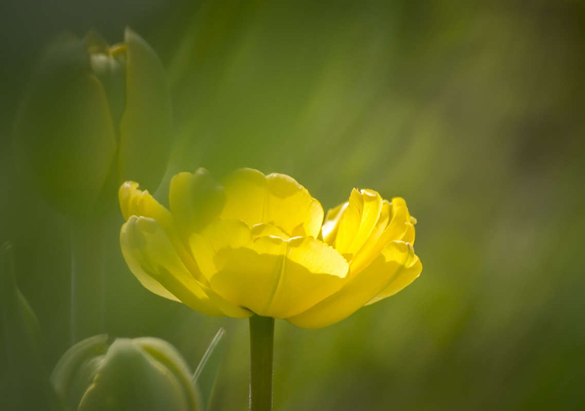 ... ����� ������� ������� �� PhotoGeek.ru #����� �������������� #�����