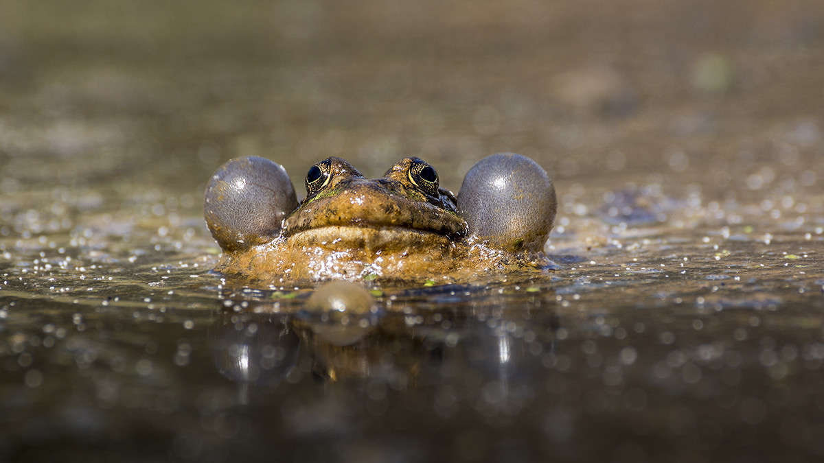 ����� �������� ���� ����� ������� ������� �� PhotoGeek.ru #�������� ���