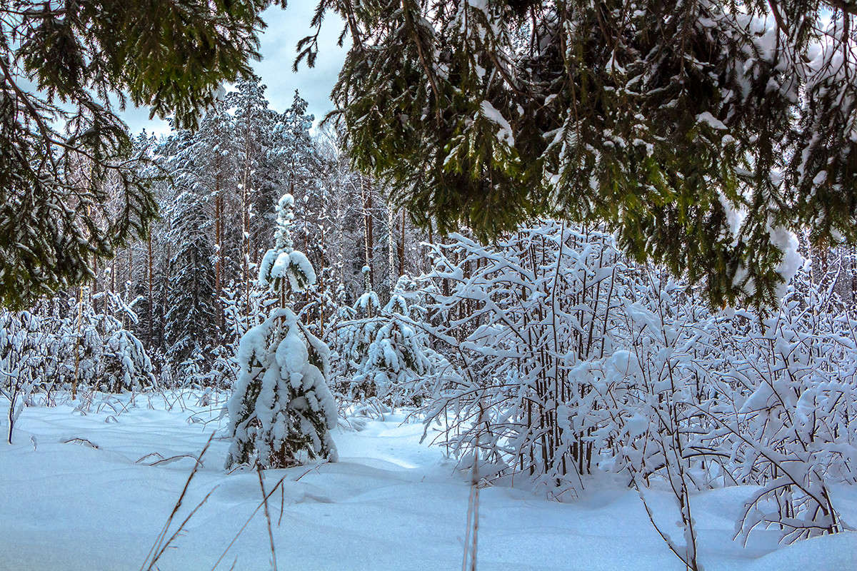 ...� ������� ���� ����... ����� ������� ������� �� PhotoGeek.ru #������ ��� �������