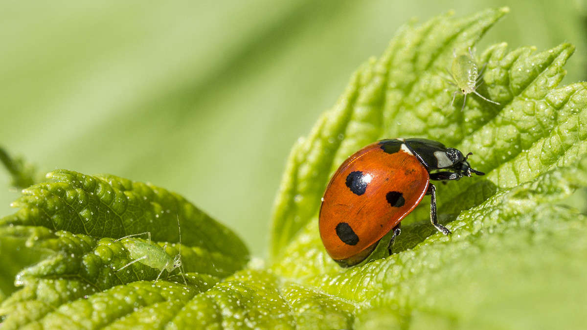2+1 ����� ������� ������� �� PhotoGeek.ru #����� #���������