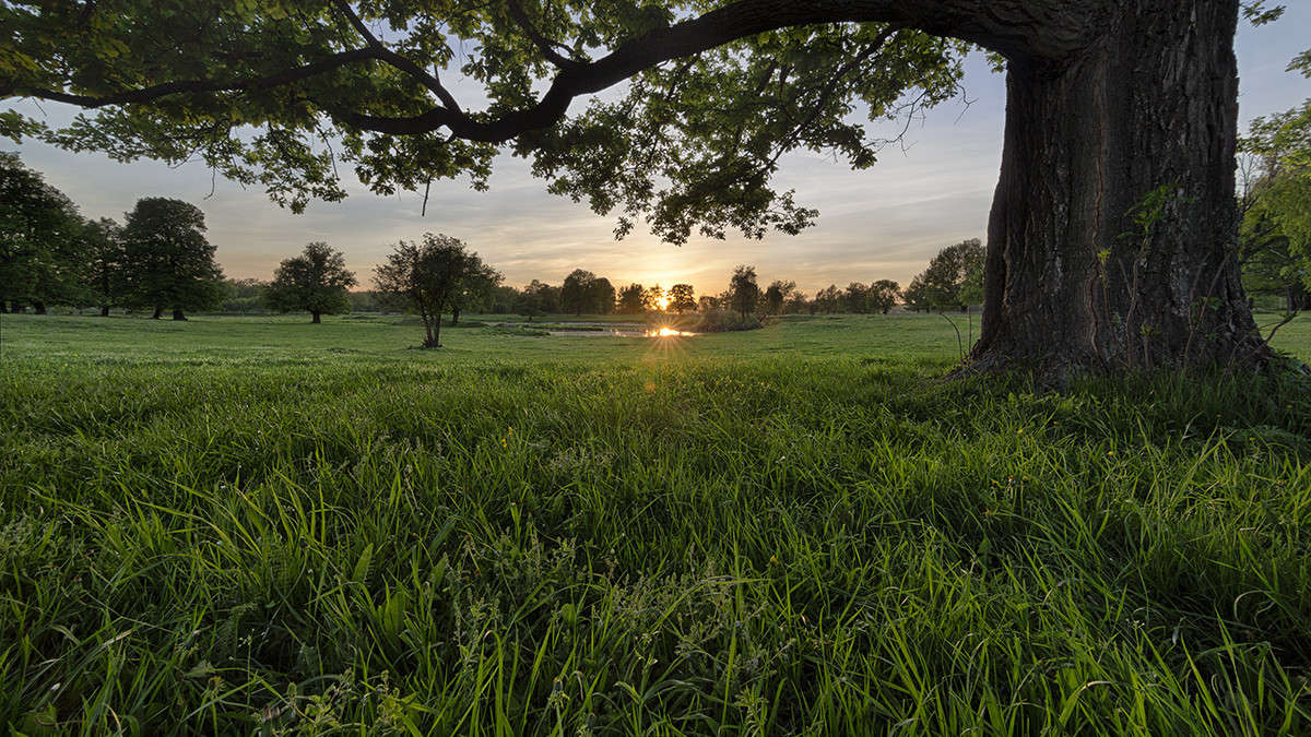 �������� ����� ������� ������� �� PhotoGeek.ru #������ ��� ������� #����� ��������������