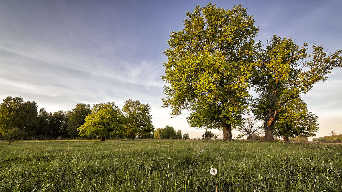 ���� ���������� ����� ������� ������� �� PhotoGeek.ru #������ ��� ������� #����� ��������������