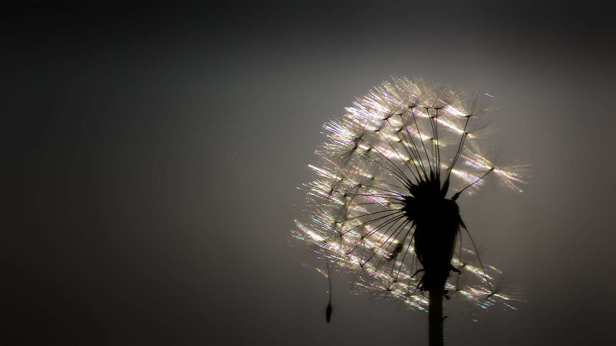 ��������� ����� ������� ������� �� PhotoGeek.ru #����� #����� ��������������