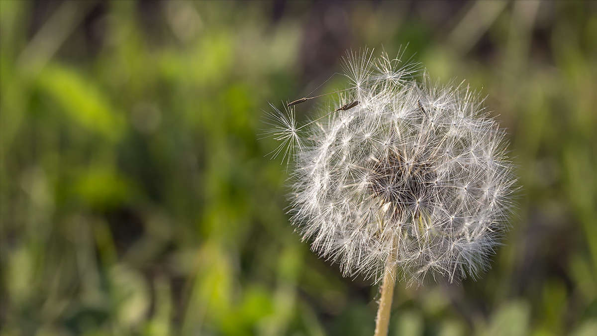 �������� ����� ������� ������� �� PhotoGeek.ru #����� #����� ��������������