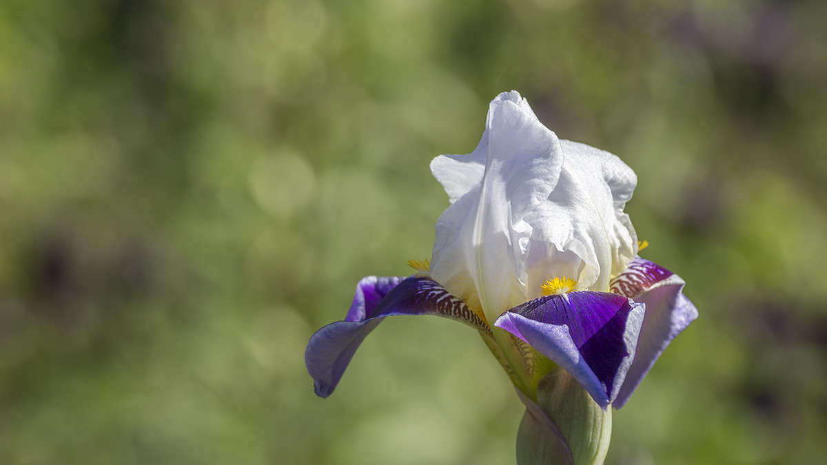 ���� ����� ������� ������� �� PhotoGeek.ru #����� #����� ��������������