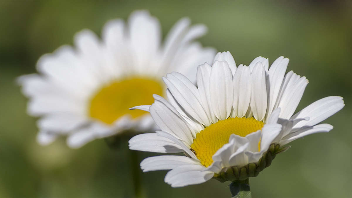 *** ����� ������� ������� �� PhotoGeek.ru #����� #����� ��������������