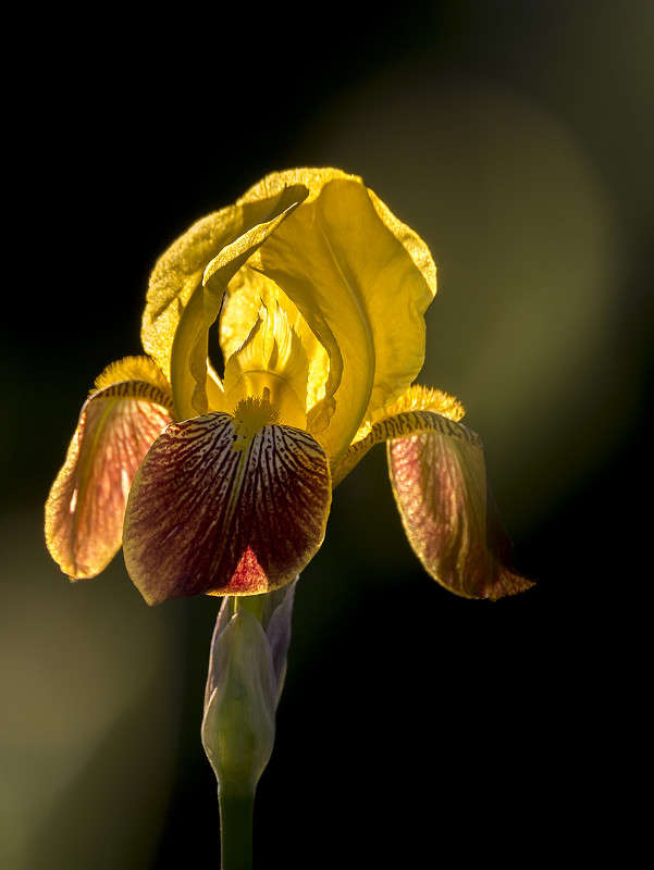 ������� ����� ������� ������� �� PhotoGeek.ru #����� #����� �������������� #�����