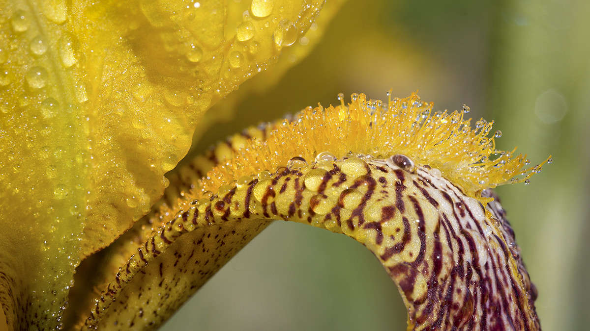 *** ����� ������� ������� �� PhotoGeek.ru #����� #����� ��������������