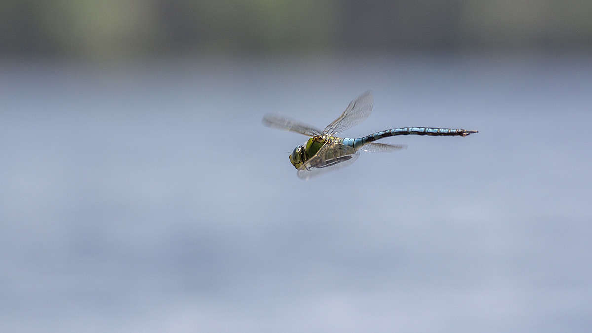 ���������� ����� ������� ������� �� PhotoGeek.ru #���������