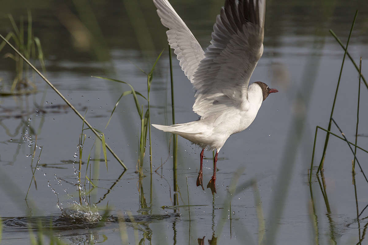 ��������� ������ ����� ������� ������� �� PhotoGeek.ru #�������� ��� #����� ��� ��� ���������