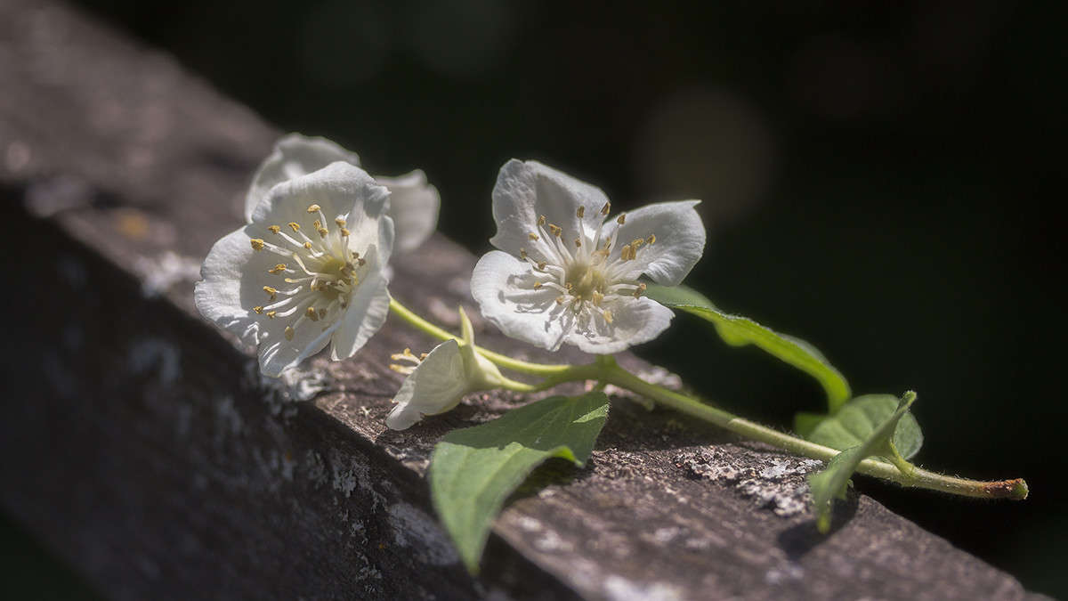 ������� ������� ����� ������� ������� �� PhotoGeek.ru #���������