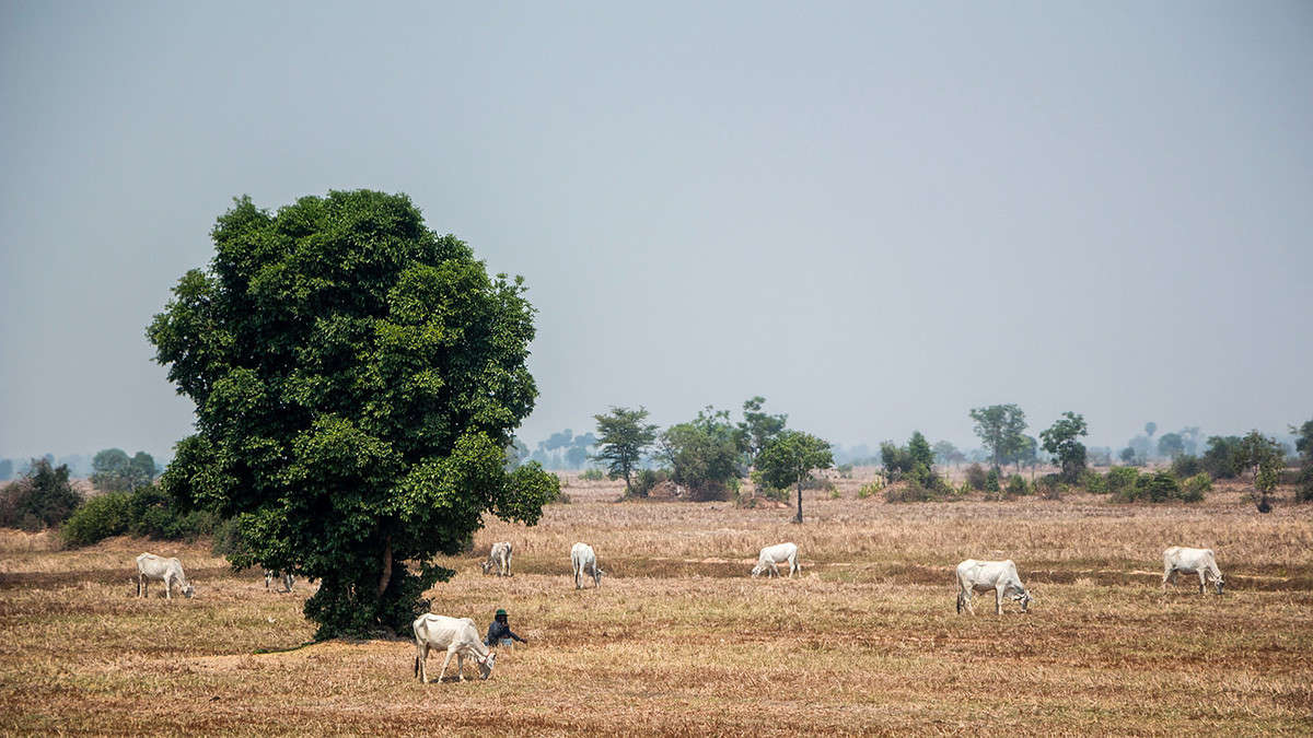 *** ����� ������� ������� �� PhotoGeek.ru #������ ��� �������