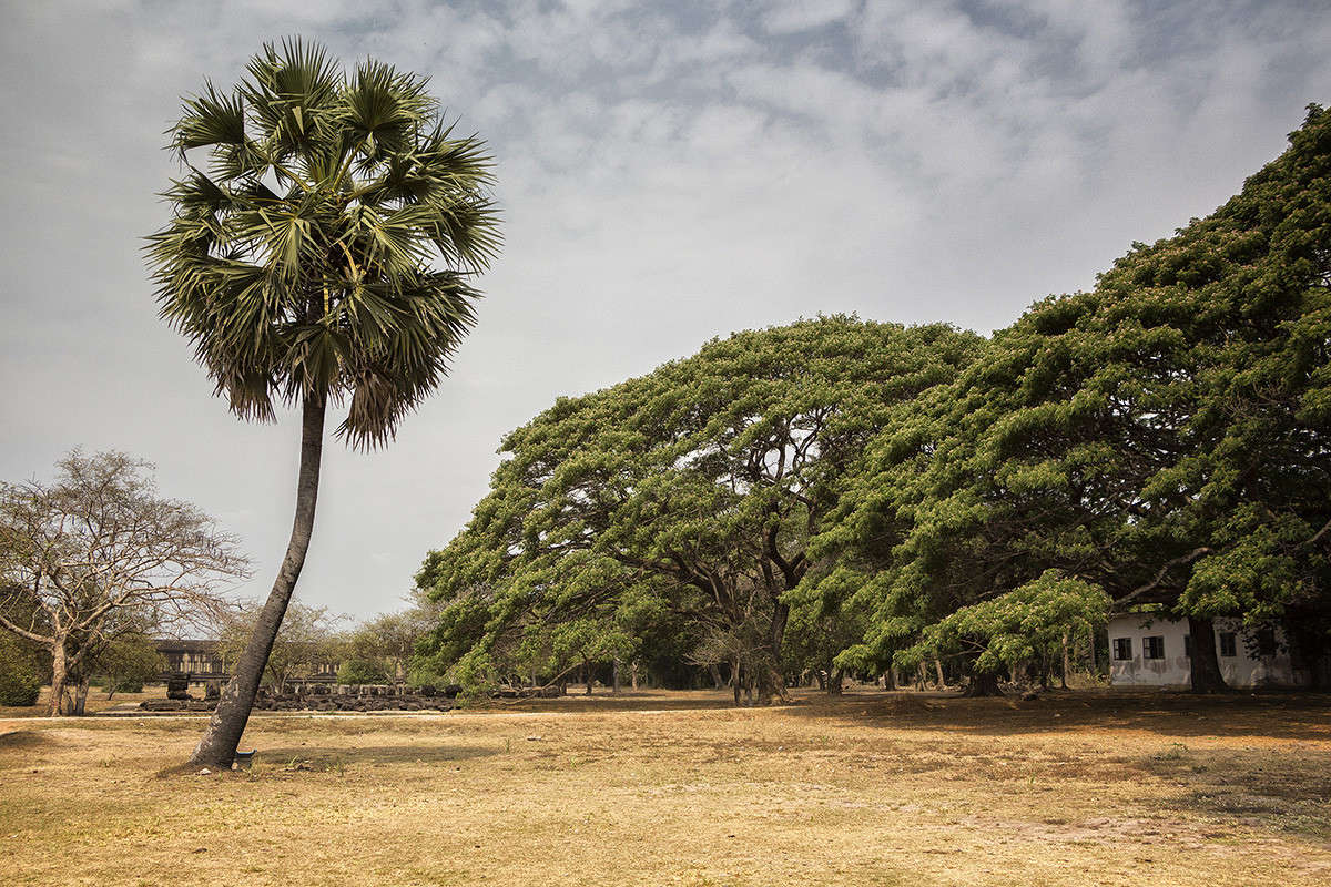 *** ����� ������� ������� �� PhotoGeek.ru #������ ��� �������