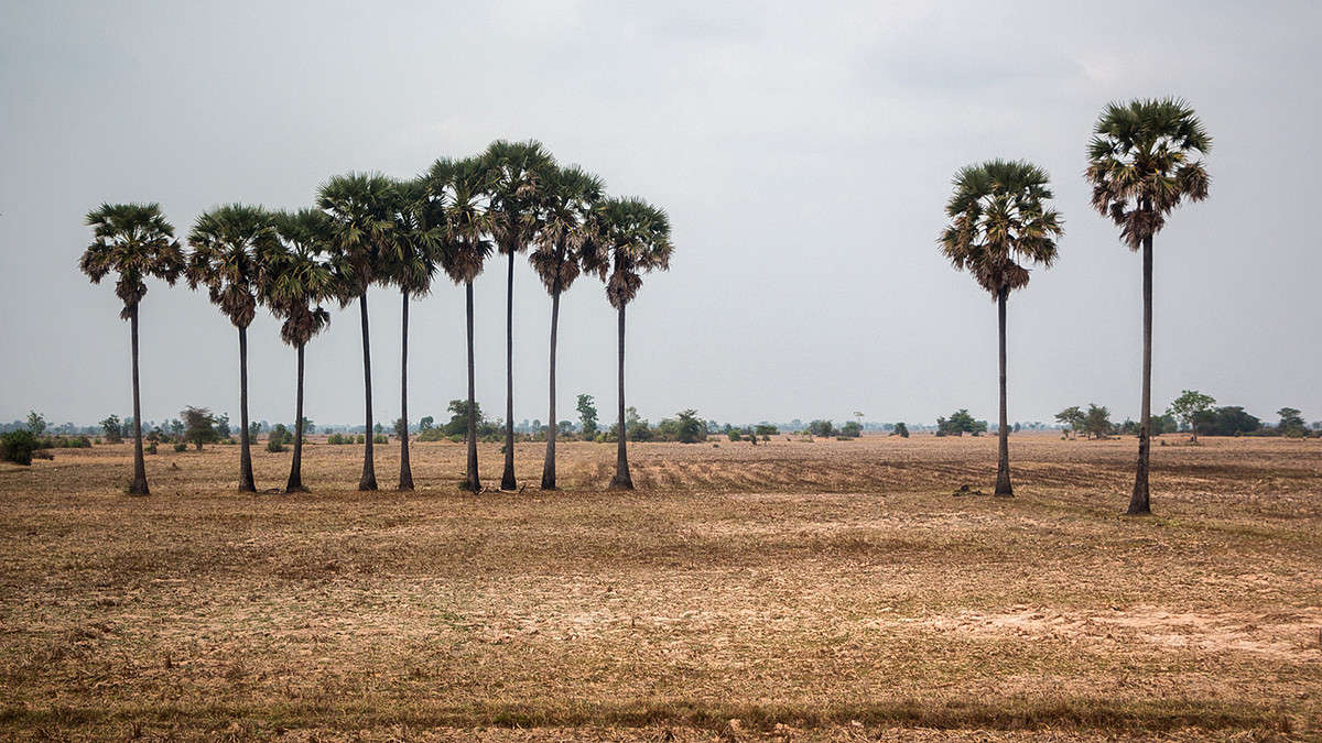 *** ����� ������� ������� �� PhotoGeek.ru #������ ��� �������