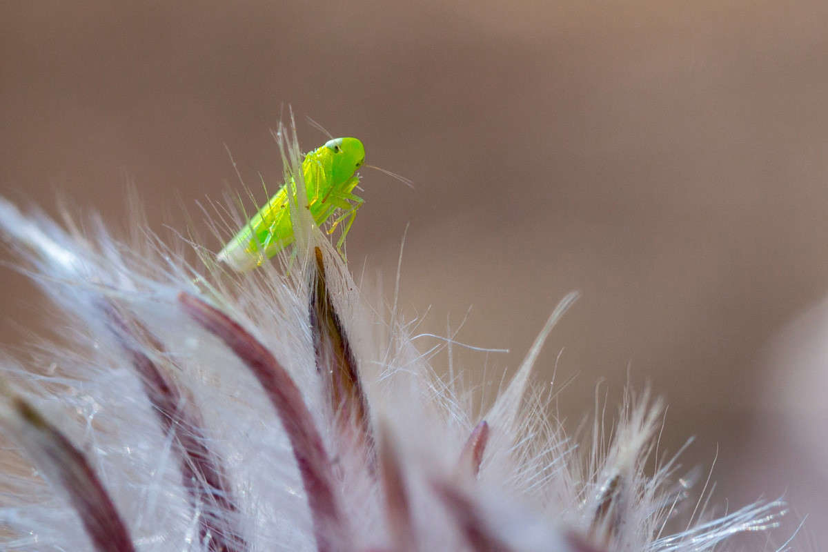������� ����� ������� ������� �� PhotoGeek.ru #����� #���������