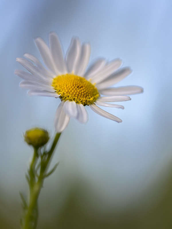 *** ����� ������� ������� �� PhotoGeek.ru #����� #����� ��������������