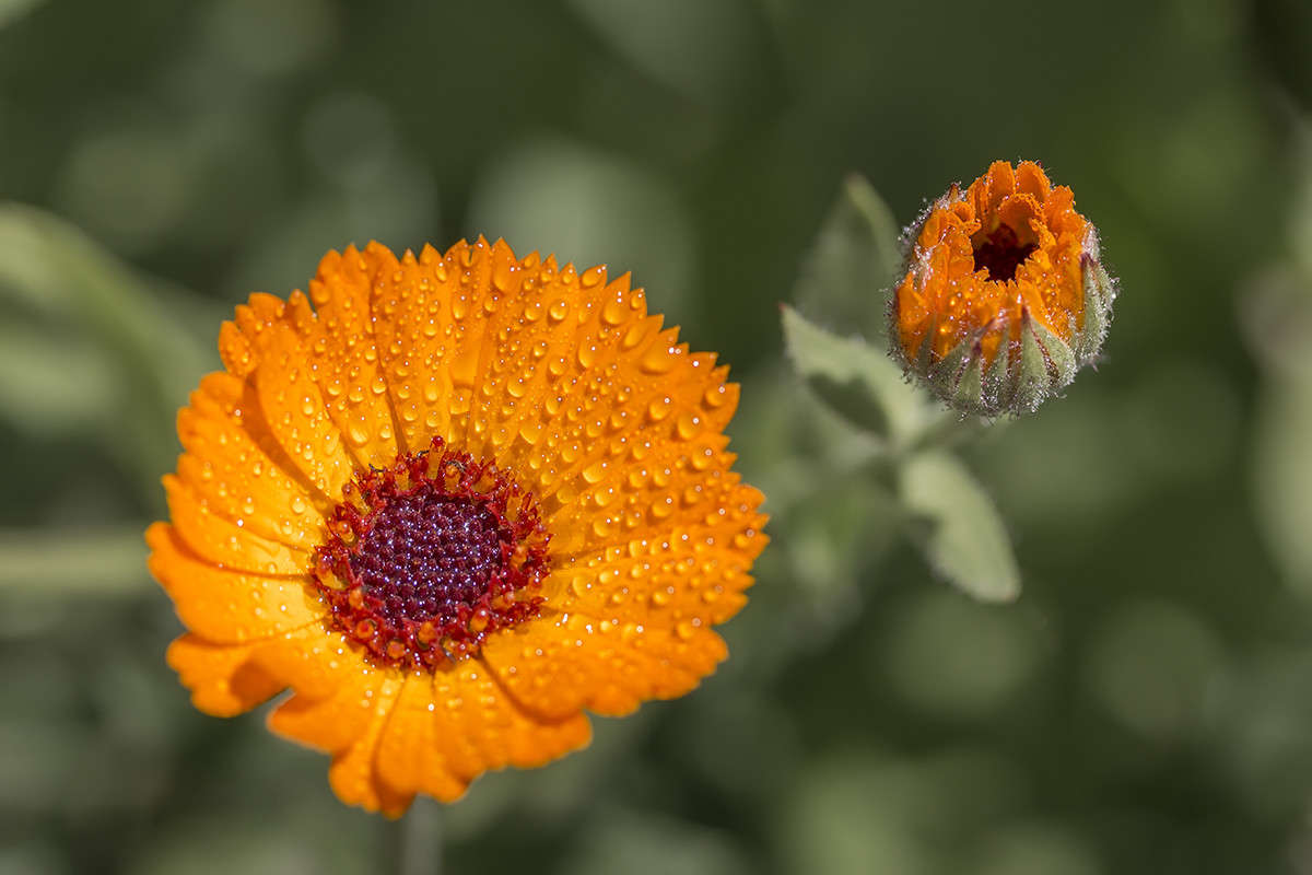 *** ����� ������� ������� �� PhotoGeek.ru #����� #����� ��������������