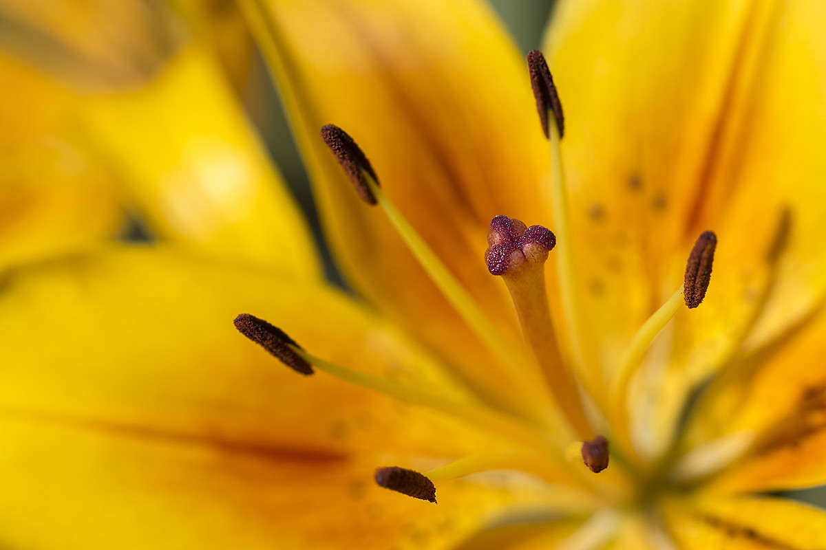 ������� - ������� ����� ������� ������� �� PhotoGeek.ru #����� #����� ��������������