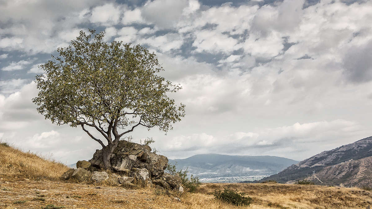 *** ����� ������� ������� �� PhotoGeek.ru #������ ��� �������