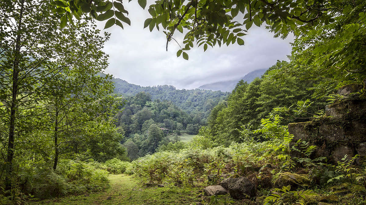 *** ����� ������� ������� �� PhotoGeek.ru #������ ��� �������