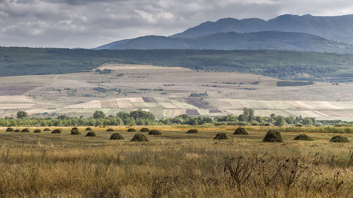 �������� ������ ����� ������� ������� �� PhotoGeek.ru #������ ��� �������