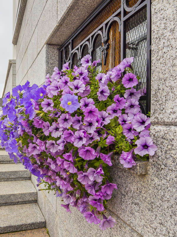 *** ����� ������� ������� �� PhotoGeek.ru #����� �������������� #�����